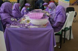 زنان زعفران کار هرات: دولت از آنان پشتیبانی نمی‌کند