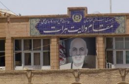سه زن در هرات کشته شدند