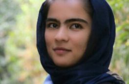 شش قلوهای فرهنگی!