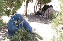 روایتی از زندگی زنان معتاد در ولایت هرات
