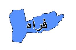 افزایش مرگ و میر مادران و کمبود پزشک نسائی ولادی در فراه
