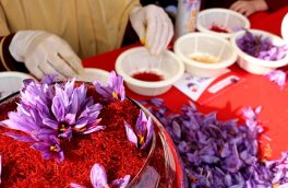 سومین جشنواره ملی گل زعفران