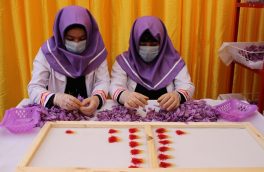 افزایش علاقمندی زنان هرات به فعالیت‌های تجارتی