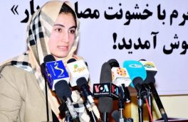 نقش شبکههای اجتماعی در جهتدهی افکار عمومی