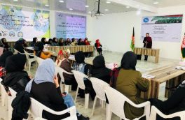تاکید زنان فعال هرات، بر حفظ دستآوردهای زنان در گفتوگوهای صلح