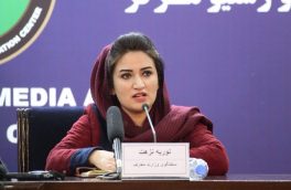“نصاب تعلیمی تا دو سال دیگر تجدید خواهد شد”