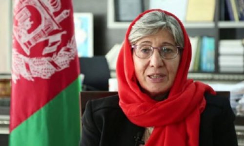 سیما سمر: حکومتی که استوار بر ارزش‌های حقوق بشری باشد تداومش بیش‌تر است