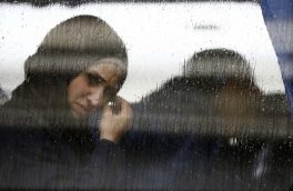 یادی از نرگسهای افغانستان و ایران، همراه با ژیلا بنی یعقوب