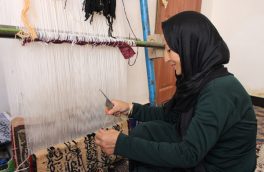اشتراک در نمایشگاههای بین المللی؛ رویای که قندی گل در تلاش تحقق آن است