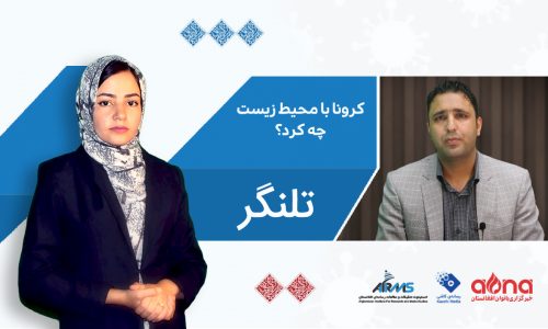 تلنگر: کرونا با محیط زیست چه کرده است؟