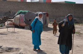 زندگی در کف دست؛ نان جوگیها میان خطوط دستان دیگران