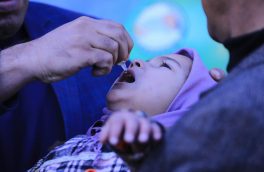 کارزار واکسین پولیو در هرات آغاز شد