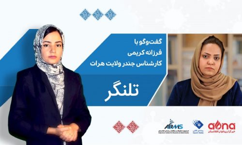 بررسی وضعیت کاری کارمندان زن اداره‌های دولتی