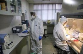 مریضداران شفاخانهی شیدایی: جابهجا شدن مریضداران خطر شیوع کووید-۱۹ را افزایش میدهد