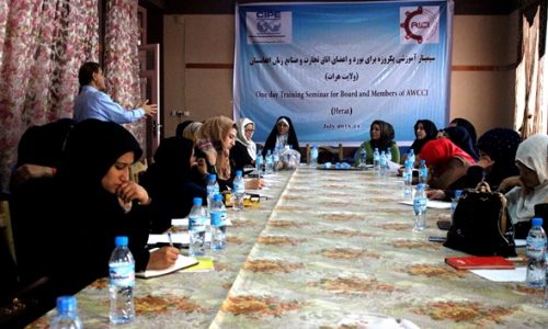 برگزاری کارگاه آموزشی برای زنان تجارت پیشه در هرات