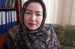 “عدالت انتخاباتی را در هرات پیاده می‌کنم”