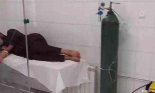شکایت شهروندان هرات از بالا بودن هزینه تست کرونا در شفاخانههای خصوصی