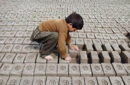 دانشجویانی که آموزگار کودکان کار شدند