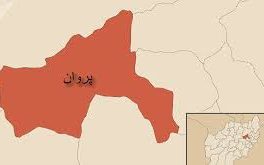 یک پولیس زن در پروان ترور شد